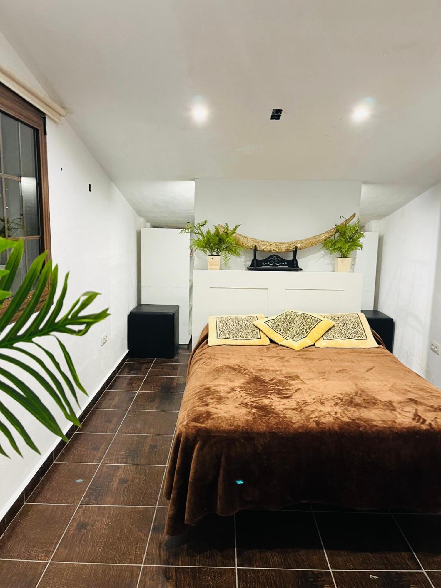 Pintadera House Vulcano 伊科德·德·洛斯·维诺斯 外观 照片